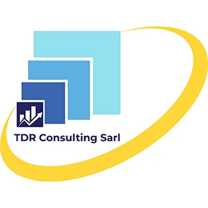 Logo TDRConsulting